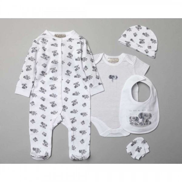 Multipack of 5 pcs, Bodysuit, bodysuit, hat, bib, gloves and gift bag, Elephant, made of 100% Cotton.