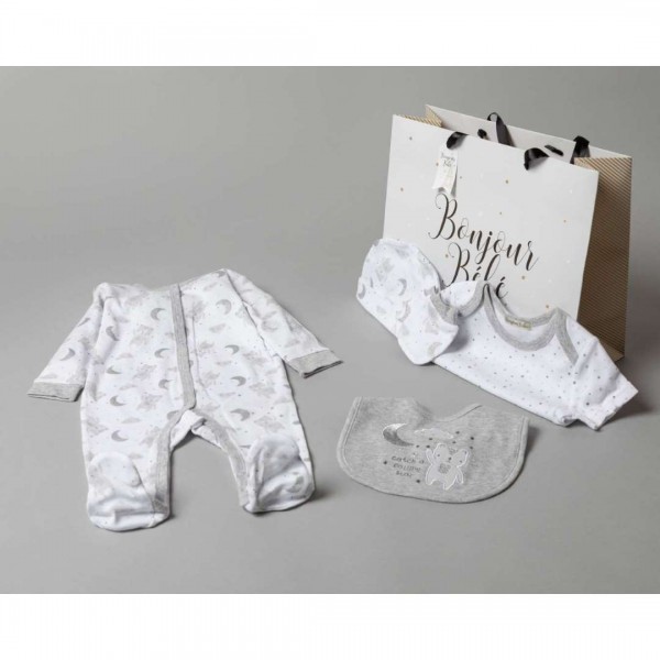 Multipack of 5 pcs, Bodysuit, bodysuit, hat, bib, gloves and gift bag, Bear, from 100% Cotton.