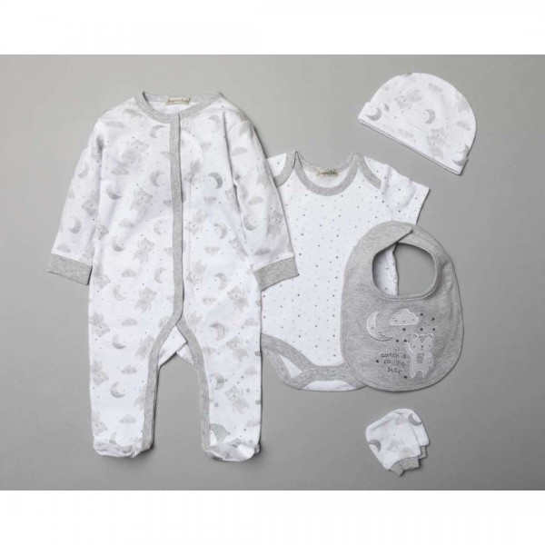 Multipack of 5 pcs, Bodysuit, bodysuit, hat, bib, gloves and gift bag, Bear, from 100% Cotton.